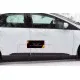 Молдинги на двери Ford Focus 3
