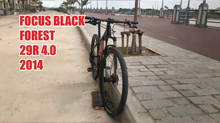 Focus BLACK FOREST 29R 4.0 2014
