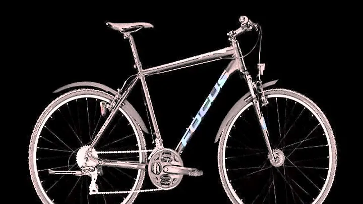 Bicycle Focus LOST LAGOON ST 2.0 2014