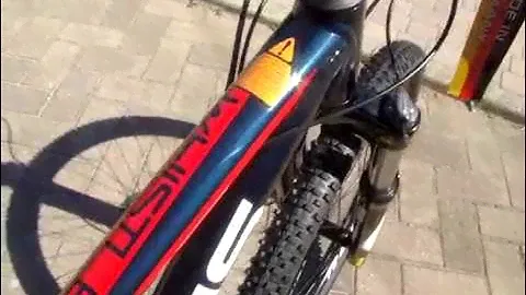 FOCUS WHISTLER EVO 2017